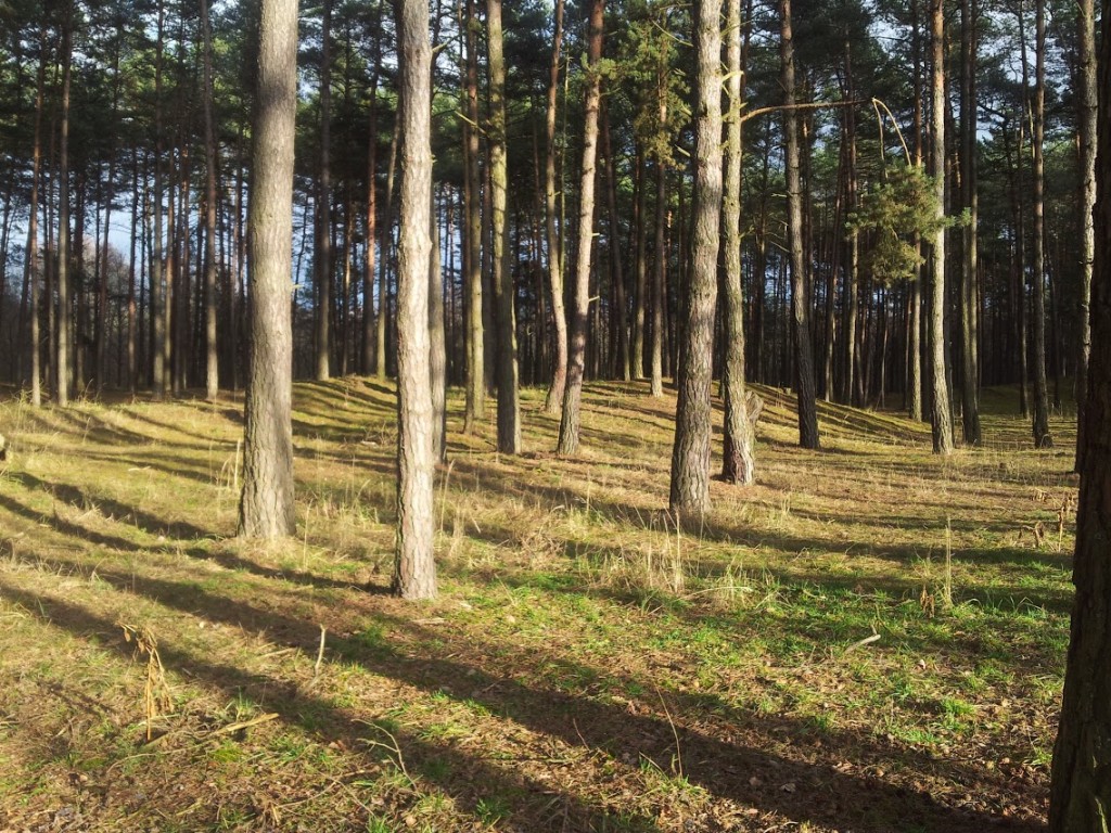 Virtual-O will be on ECTO 2016 (Borský Mikuláš)