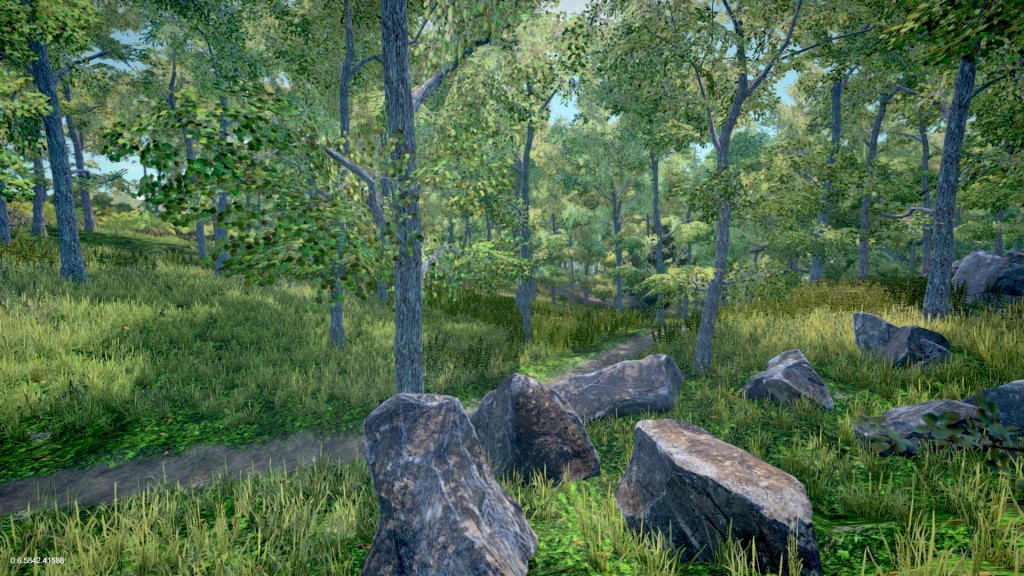 forest_after