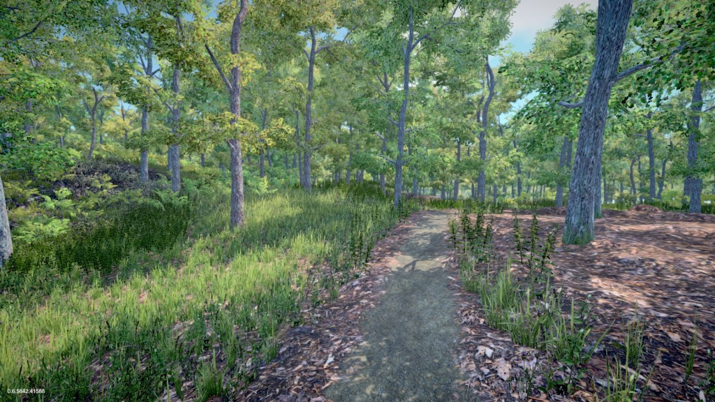 forest_after2